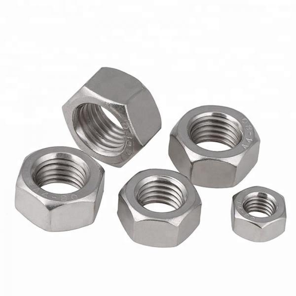 Quality Auto Parts Stainless Steel Hex Nuts Passivated Fine Thread Zinc Plated Finish for sale