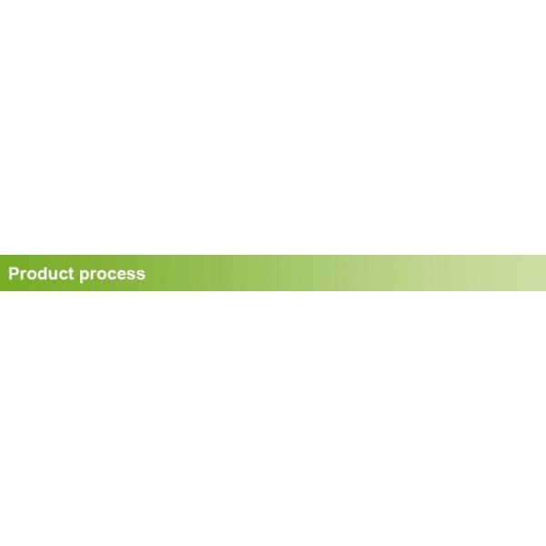 product process.jpg