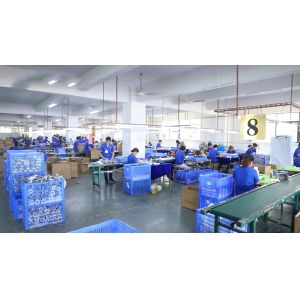 Toseo Lighting Co., Ltd.