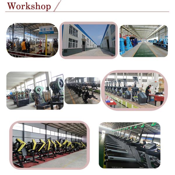 Hammer Strength Plate Loaded Gym Machines Strength Training CE Certification