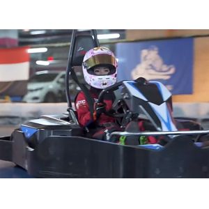 China S EVKART Professional Electrical Go Kart ECU Control OEM ODM on sale