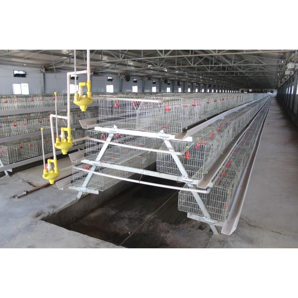 Automatic Pullet Baby Chick Cage Chicken Layer Poultry Farm Equipment