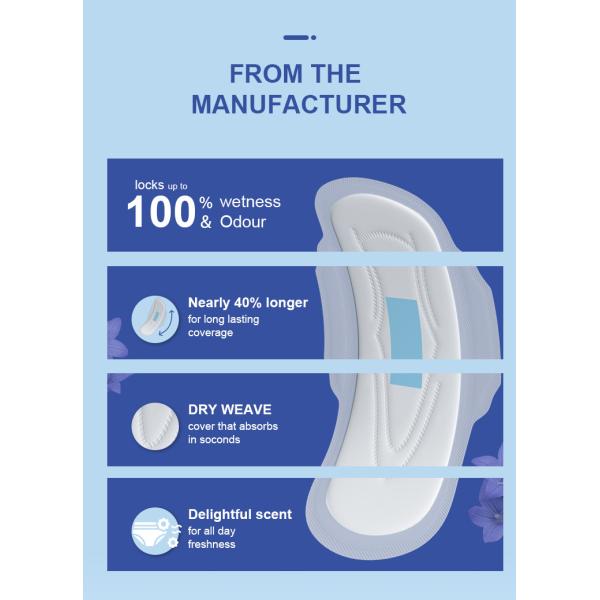 China Supplier High Quality Economical Lady Disposable Panty Liner Cotton Women Pads Feminine Sanitary Napkin