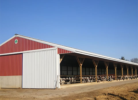 Fixed Windows Steel Structure Cow Shed House Agricultural Farm Building Anti Fire