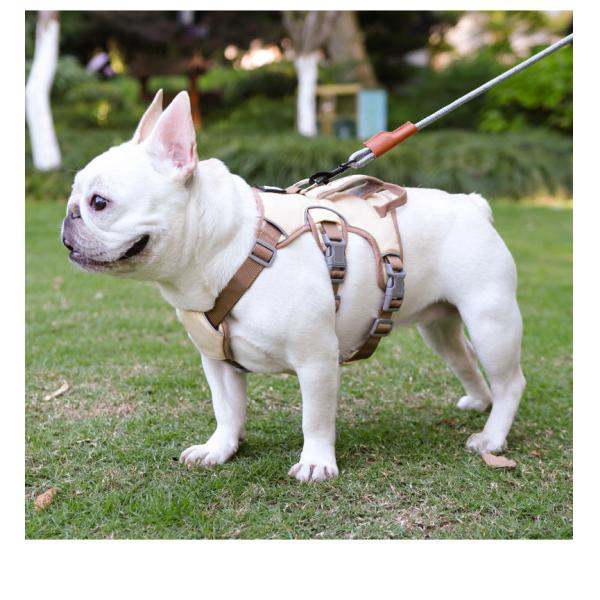Medium Size Personalized Dog Harness No Pull Dog Harness Anti Breakaway Safe Anti Escape