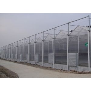 Cheap Corrosion Resistance Multi Span Greenhouse With Hydroponics System For Tomato wholesale