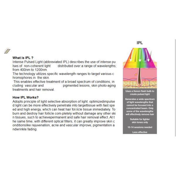 560 Nm 640 Nm IPL Hair Removal Machine Skin Rejuvenation For Female