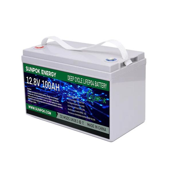 LiFePo4 Lithium Ion Deep Cycle Battery 12v 24V 100ah 200ah Long Life Agm Gel