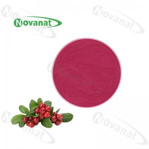 Cheap Cranberry Extract Powder Herbal Extract Powder 1%-25% Anthocyanins / Anti-Aging wholesale