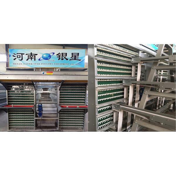 Commercial 5000pcs/Layer Zn Al Steel Poultry Egg Collection System 100mm Width