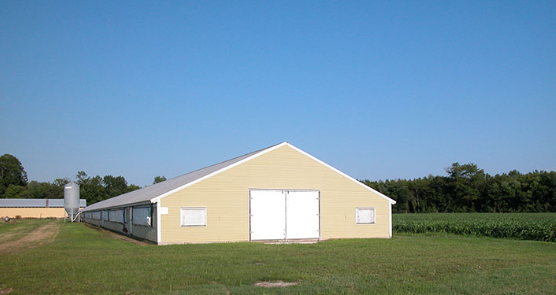 Light Weight Steel Structure Chicken House Customized Size / Color
