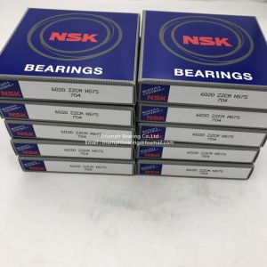 NSK Deep Groove Ball Bearing 6012ZZ , 6012ZZ NR ,6020ZZ