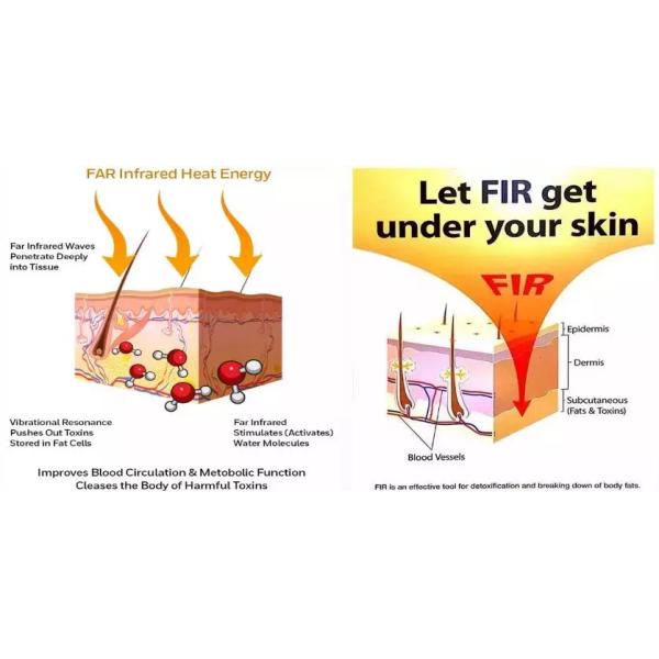 Beauty Salon FIR Far Infrared Sauna Dome for Detoxification 100V-120V