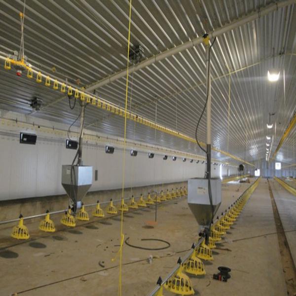 H Beam Steel Structure Poultry House with Q235 Q345 Frame