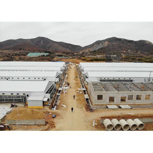 Environmental Controlled Layer broiler chicken shed construction 275g Zinc Coatings