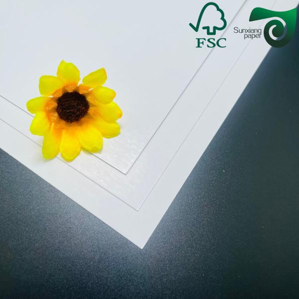 250gsm FSC High Brightness Glossy Text Cover Paper 610mm 860mm With Excellent Printability