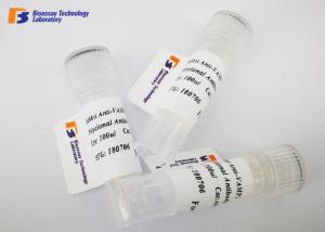 Cheap Mouse Anti ENO2 Custom Monoclonal Antibody with NSE Fusion Protein wholesale