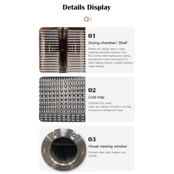 Honey Fruit Tea Instant Food Freeze Dry Machine Commercial Freeze Drying Food Equipment