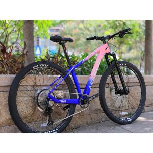 Cheap 12 Speed Downhill Mountain Bike with Sunshine 11-50T Cassette and Aluminum Alloy Fork wholesale