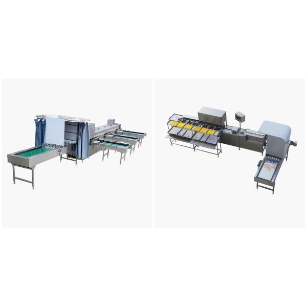 4 Layers 2mm Battery Cage Poultry Egg Collection System ISO9001 Certificated