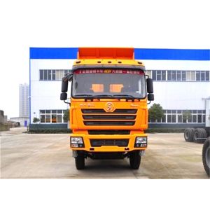 Buy cheap Mining 380hp 6X4 CNG SHACMAN F3000 Dump Truck from wholesalers
