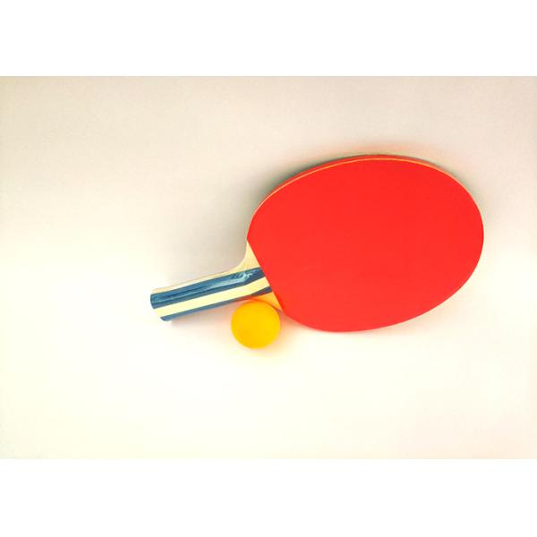 Color Sponge Ping Pong Rackets For Beginner And Practitioner