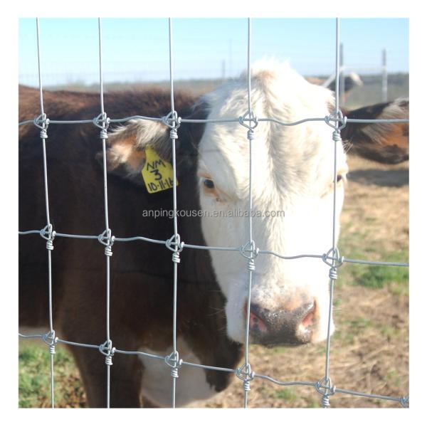 Rectangle 3D Metal Wire Fence Panel Home Garden Welded Wire Mesh Fence for Your Garden