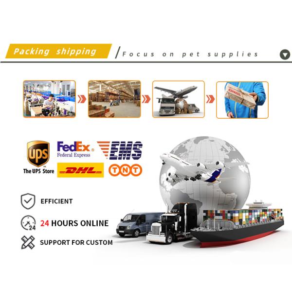 Outdoor Running Personalized Nylon Multifunctional Pet Dog Leash with One Drag Two Double-Headed Dog Rope Durable and Versatile