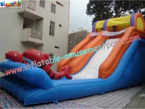 Cheap Kids Outdoor Inflatable Water Slides Games with PVC tarpaulin, Reinforced seams for Rental wholesale