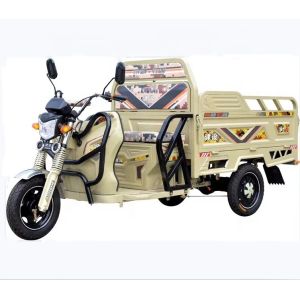 China Passenger 50km/H 60v Electric Tricycle For Adults on sale