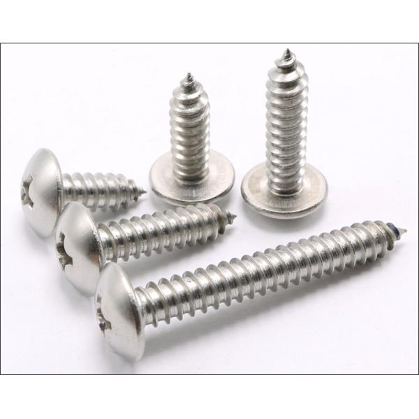 316 Stainless Steel Extra-Wide Rounded Head Screws for Sheet Metal Truss Head Phillips Drive Tapping Screws