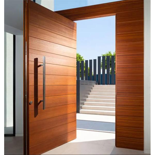 Skate Pivoting Doors Easy To Clean And Maintain Effortless Maintenance And Sleek Design