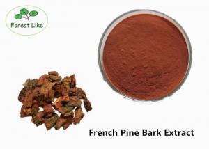 China 95% Proanthocyanidins Anthocyanin Extract Powder Natural Pine Bark Extract on sale