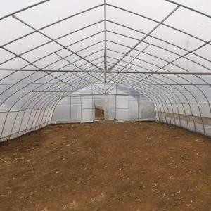 Cheap Single Span High Tunnel Greenhouse Single Layer Film For Tomatoes Agricultural wholesale