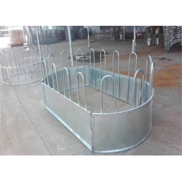 30X60mm Oval Pipe Cattle Livestock Yard Panel