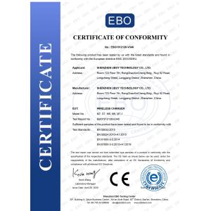 Shenzhen ubuy technology co. LTD Certifications