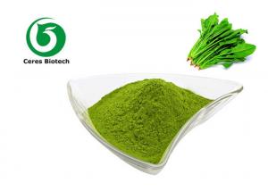 China Vegetable Supplement Dehydrated Organic Spinach Powder on sale