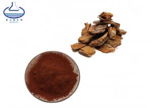 China 20347-71-1 Pure Coenzyme Q10 , OPC Pinus Pinaster 95% Pine Bark Extract on sale