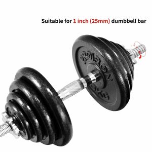 Cheap Anti Rust Cast Iron 25kg 5Kg Bumper Weight Plates wholesale