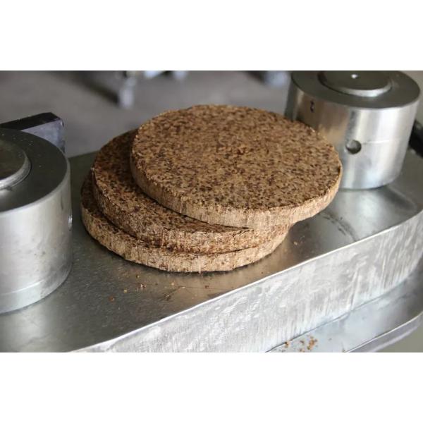 Flaxseed Single Phase Castor Oil Press Machine , 1500w Seed Oil Cold Press Machine