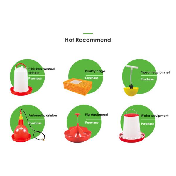 Poultry Farm Turbo 1.5kg Baby Chick Feeder Automatic Broiler Day Old Doc