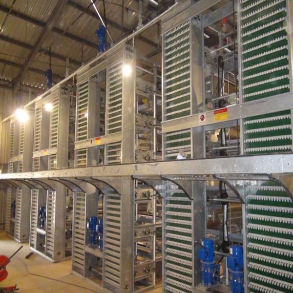 Hot Dipped Galvanized H Type Egg Layer Chicken Cage