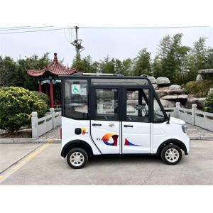 Cheap White Handicap Electric Car Leisure Electric Handicap Vehicles 35km/H wholesale