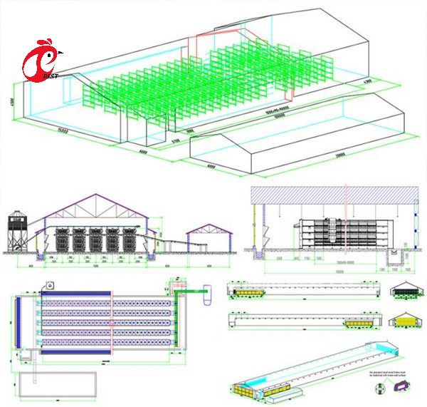Turnkey Project Automatic Poultry Battery Cage System 3 Tiers 450cm2 Star