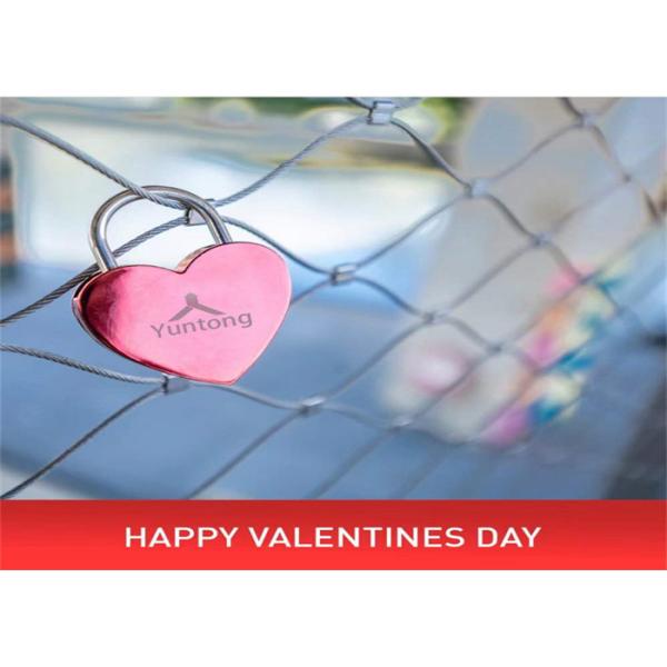 Aisi304 316 Stainless Steel Wire Rope Mesh 100*100mm Ferruled 2.0mm For Plant Climbing