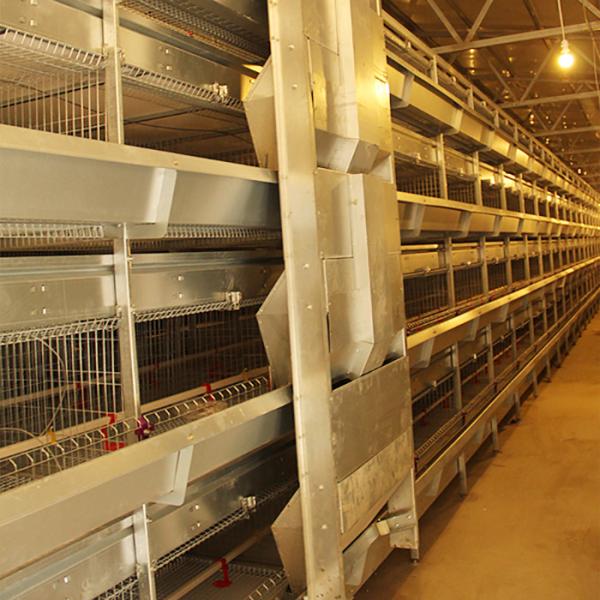 4 Tier 192 Birds Baby Chick Cage For Young Chick Breeding