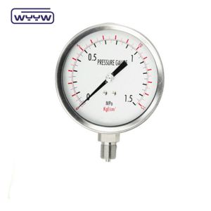 No Liquid Filled Design 316l Stainless Steel Pressure Gauge