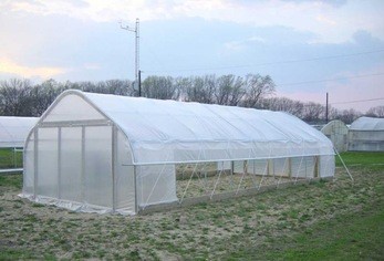 Tunnel Plastic Film Greenhouse / Vegetable Greenhouse Climate Control Economical