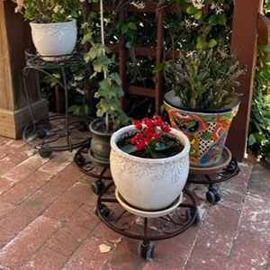 Powder Coated Iron Flower Stand with Heavy Duty Casters and Rolling Flower Pot Stand
