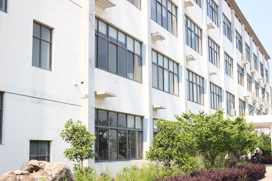 Polyester Nylon Outdoor Camping Hammock